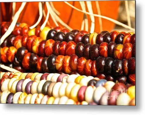 Outdoors Metal Print featuring the photograph Kernel Close Up by Susan Herber