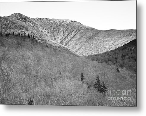 Lafayette Brook Scenic Area Metal Print featuring the photograph Lafayette Brook Scenic Area - White Mountains NH by Erin Paul Donovan