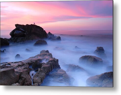 Landscape Metal Print featuring the photograph Laguna Beach Sunrise by Dung Ma