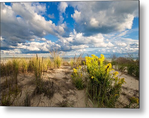 Beach Metal Print featuring the photograph Late Summer Dunes Ocean City by Jim Moore