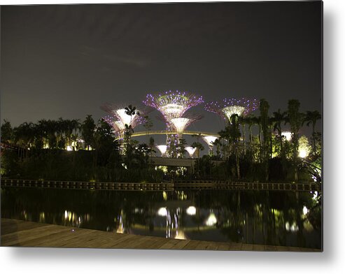 Asia Metal Print featuring the photograph Lighted supertrees of the Gardens by the Bay in Singapore by Ashish Agarwal