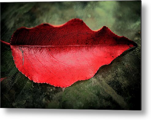 Lips 2012 Metal Print featuring the photograph Lips 2012 by Beth Akerman