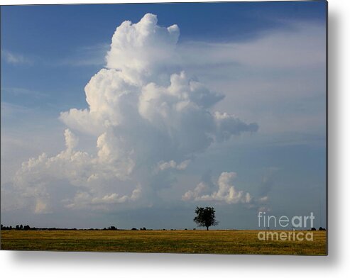 Storm Clouds Metal Print featuring the photograph Lone Tree by Sheri Simmons