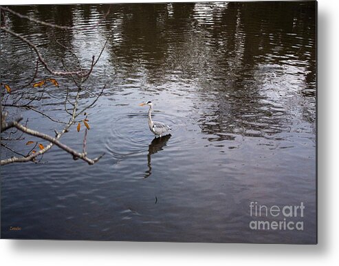 Fall Metal Print featuring the photograph Lonely Autumn by Eena Bo