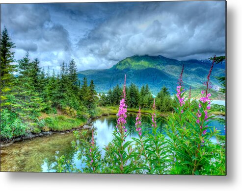 Fireweed Metal Print featuring the photograph Mendenhall Fireweed by Don Mennig