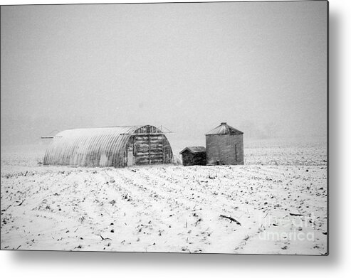 Fine Art Black And White Images Of Trees Metal Print featuring the photograph Mid Winter- Kent County Ontario by Mark Clifford