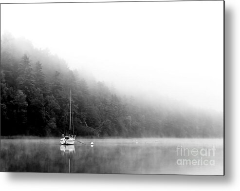 Fog Metal Print featuring the photograph Misty Morning by Brenda Giasson