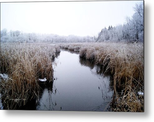 Frost Metal Print featuring the photograph Morning Rime by Steven Clipperton