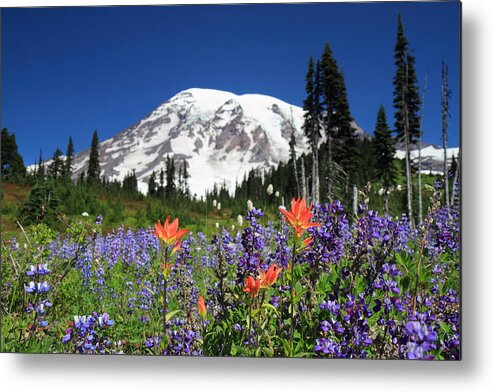Mount Metal Print featuring the photograph Mount Rainier wIldflowers by Pierre Leclerc Photography