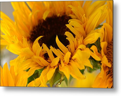 Sunflower Metal Print featuring the photograph My Little Slice of Sunshine by Tanya Tanski