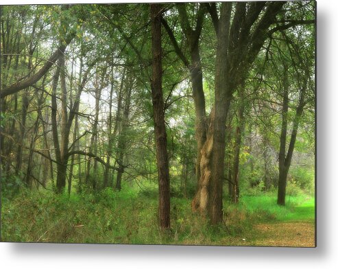 Hovind Metal Print featuring the photograph Mystic Forest by Scott Hovind