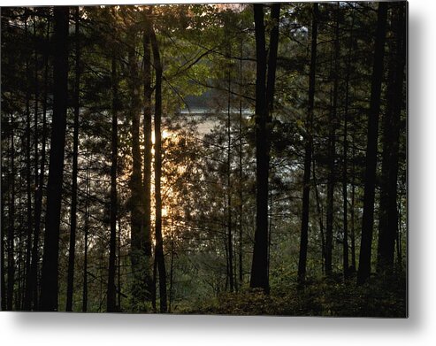 Campground Metal Print featuring the photograph Nichols Lake by Joseph Yarbrough