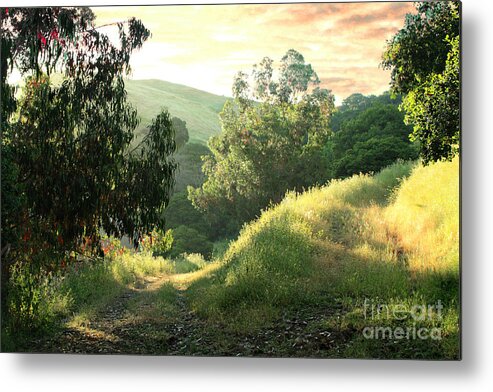 Fremont Metal Print featuring the photograph Oh What a Beautiful Morning by Ellen Cotton