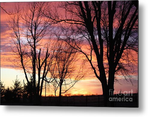 Landscape Metal Print featuring the photograph Oklahoma Sunset by Sheri Simmons
