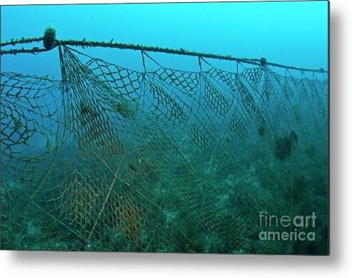 Old fishing net lost on ocean floor Metal Print by Sami Sarkis