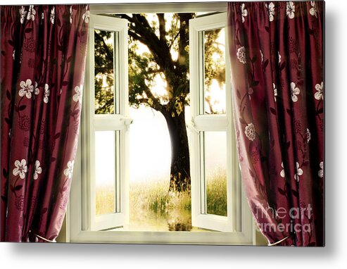 Window Metal Print featuring the photograph Open window to tree by Simon Bratt