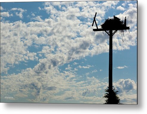 Osprey Metal Print featuring the photograph Osprey Nest by Michelle Constantine