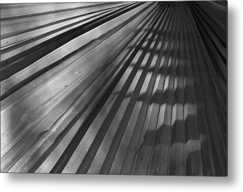 Black And White Metal Print featuring the photograph Palm Mystery by Sandy Fisher
