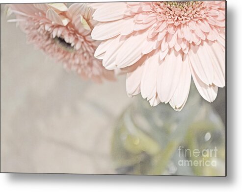 Pink Metal Print featuring the photograph Passionly Pink by Traci Cottingham