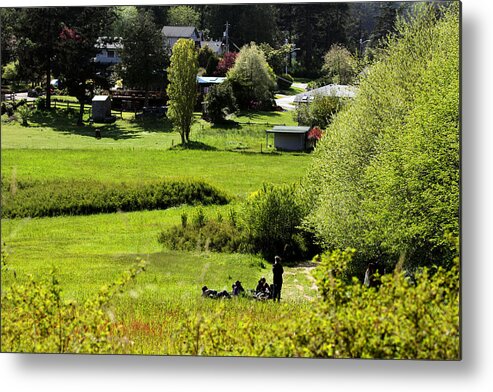 Pastoral Landscape Metal Print featuring the photograph Pastoral Ease by Marie Jamieson