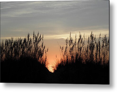 Sunrise Metal Print featuring the photograph Peaking Through The Dunes by Kim Galluzzo