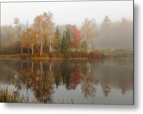 Scenic Metal Print featuring the photograph Pearl Lake Gem by Duane Cross