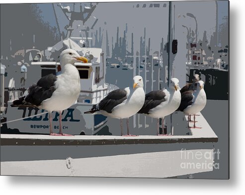 Artistic Metal Print featuring the photograph Perched Seagulls by Sonny Marcyan