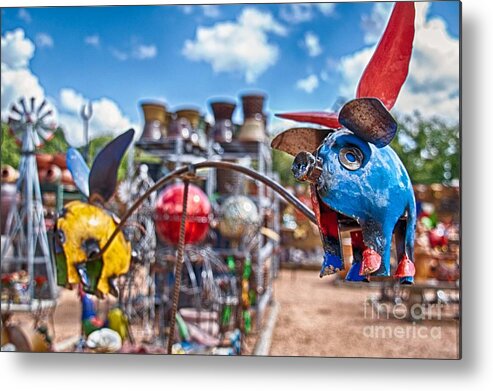 Pigs Metal Print featuring the photograph Pigs Fly Too by Ken Williams