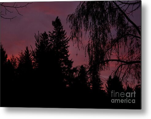 Sunrise Metal Print featuring the photograph Pink Sky in the Morning by Cheryl Baxter