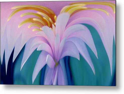 Digital Manipulation Metal Print featuring the photograph Pink Water Lily by Pat Exum