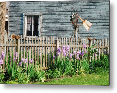 Jma Metal Print featuring the photograph Play Time by Janice Adomeit