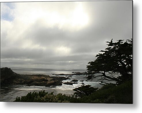 Point Lobos Reserve Metal Print featuring the photograph Point Lobos View by Suzanne Lorenz