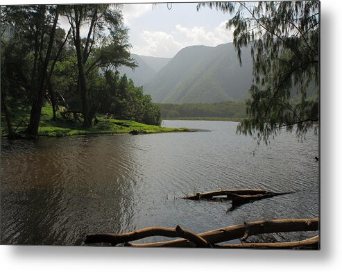 Hawaii Metal Print featuring the photograph Pololu Valley off Awini Trail by Scott Rackers