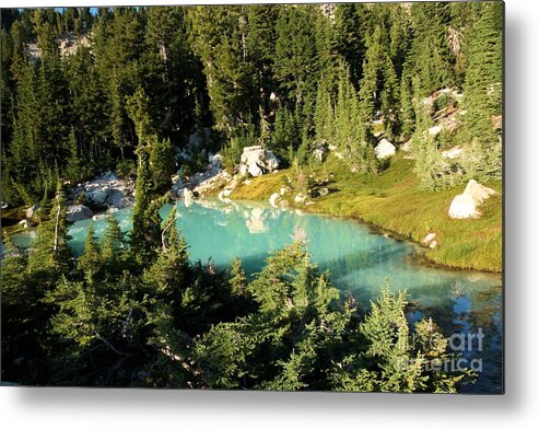 Lassen Volcanic National Park Metal Print featuring the photograph Pool In The Forest by Adam Jewell