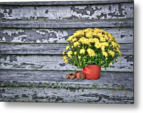Flowers Metal Print featuring the photograph Pot of Gold by T Cairns
