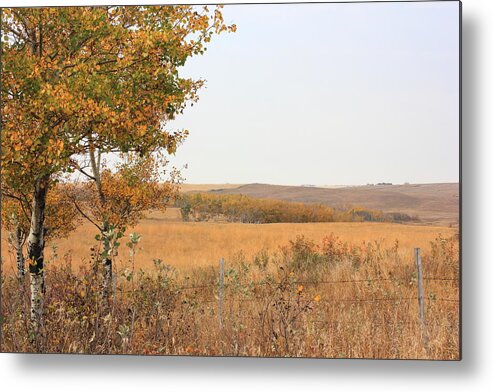 canadian Prairie Autumn Metal Print featuring the photograph Prairie Autumn by Jim Sauchyn