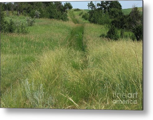 Grass Metal Print featuring the photograph Prairie trail in high grass by Jim Sauchyn