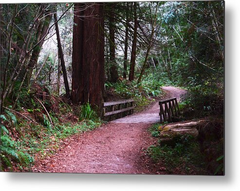 Wooden Metal Print featuring the photograph Purisima Creek Bridge by Matt Hanson