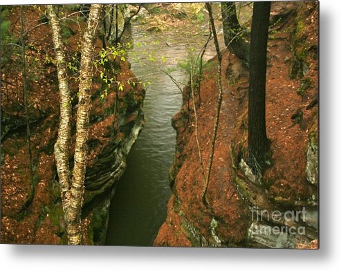 Stream Metal Print featuring the photograph Quiet Rocky Gorge by Joan McArthur