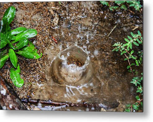 Abstract Photograph Metal Print featuring the photograph Rain Splash by Ester McGuire