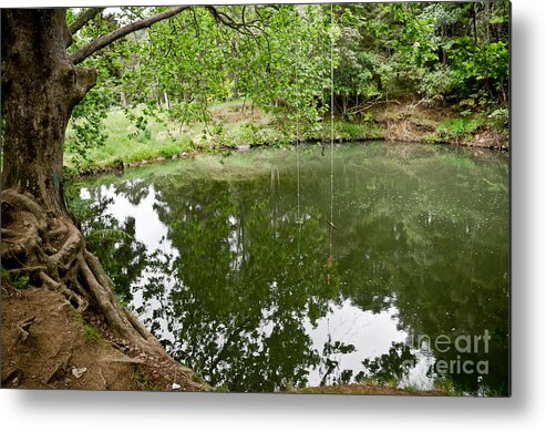 Dead Metal Print featuring the photograph Rainforest Lake in New Zealand by Yurix Sardinelly