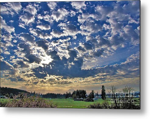 Photography Metal Print featuring the photograph Rainier Country by Sean Griffin