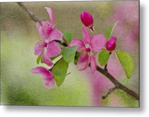 Spring Metal Print featuring the painting Redbud Branch by Jeffrey Kolker