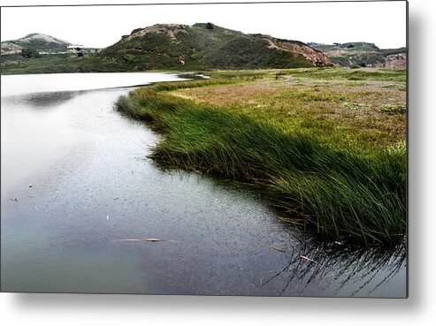 Reeds Metal Print featuring the photograph Reeds on the Water by Matt Hanson