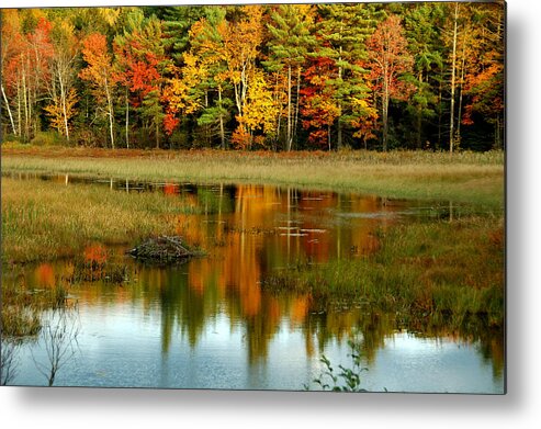 Autumn Metal Print featuring the photograph Reflections by Cathy Kovarik