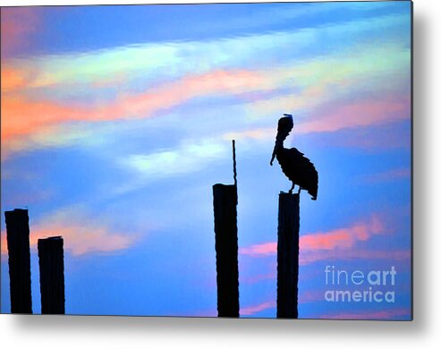 Pelican Metal Print featuring the photograph Reflections In Water With Pelican by Dan Friend