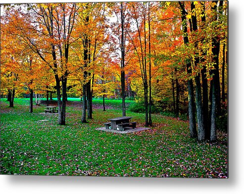 Fall Metal Print featuring the photograph Rest Stop 2 by Burney Lieberman