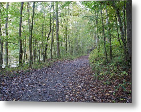 Trail Metal Print featuring the photograph Richland Mine Trail by David Troxel