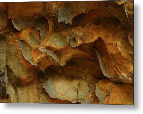 Rock Metal Print featuring the photograph Rock by Daniel Reed