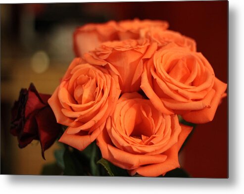 Roses Metal Print featuring the photograph Roses by Randy Wehner